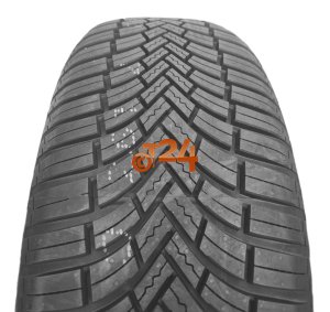 GT RADIAL
